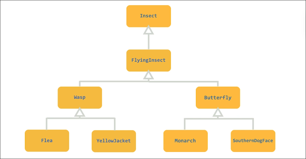 Diagram from lecture showing hierarchy